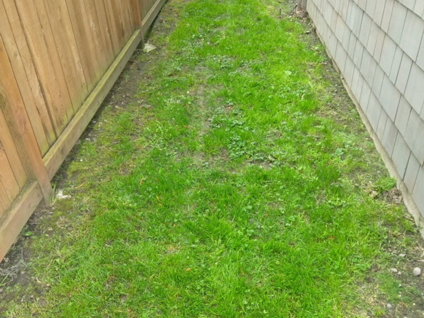 Before